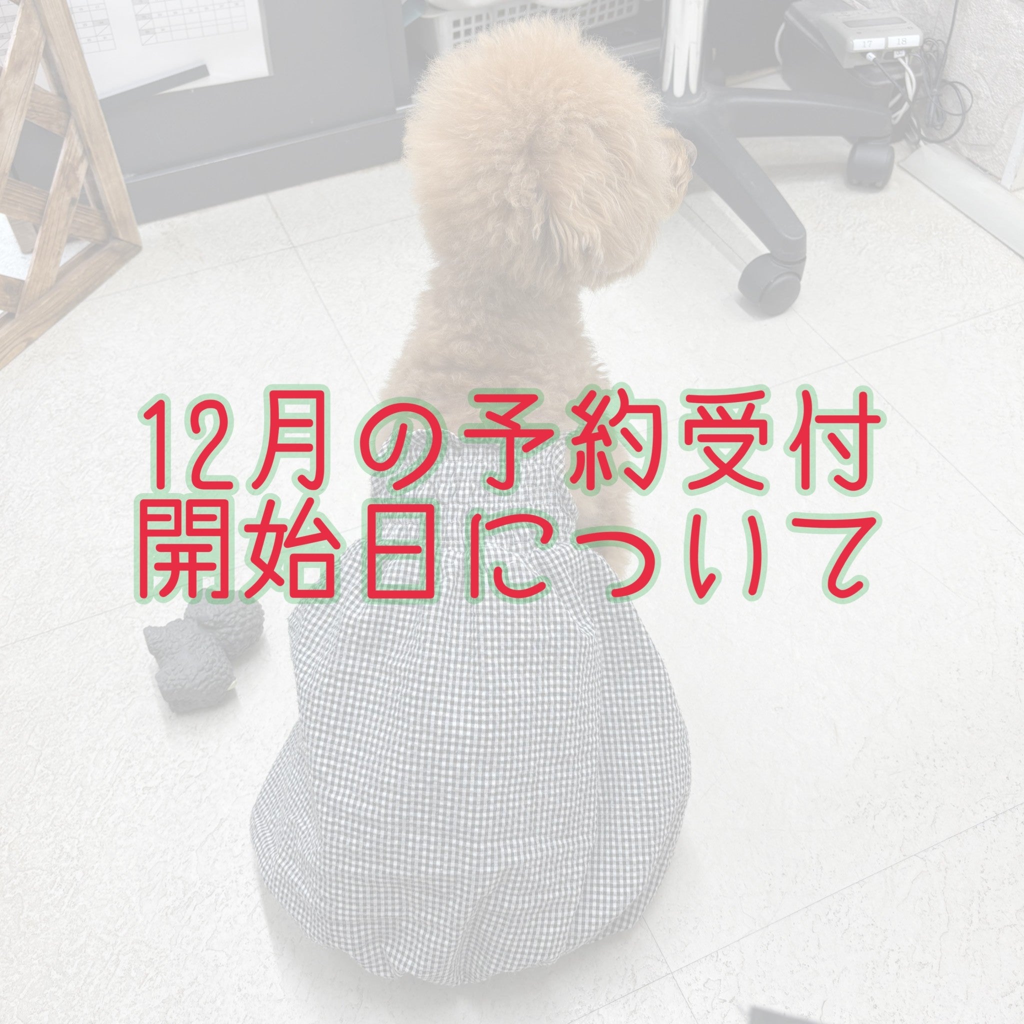 ２０２４年１２月の予約開始日について